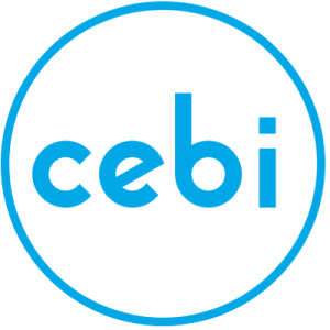 Cebi Group